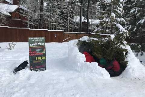 How to Survive a Blizzard in the Wilderness