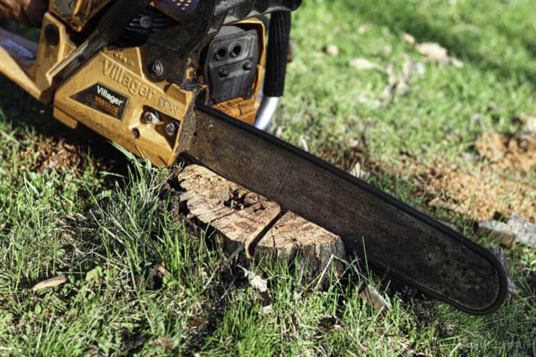 10 Ways to Remove a Tree Stump from Your Property