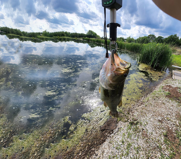 Catching Bass in Heavy Cover: Stealth is the Name of the Game
