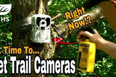 #1 Time Trail Cam Setup Time