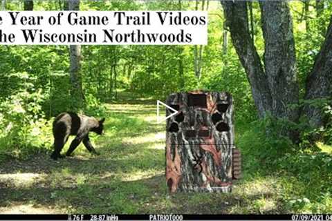 Chequamegon-Nicolet National Forest (2021) - Game Trail Camera Videos