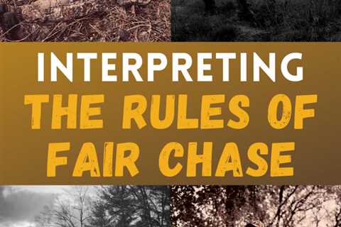 What Are the Rules of Fair Chase?
