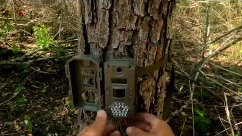 Trail camera rechargeable battery upgrade that is easy and affordable!