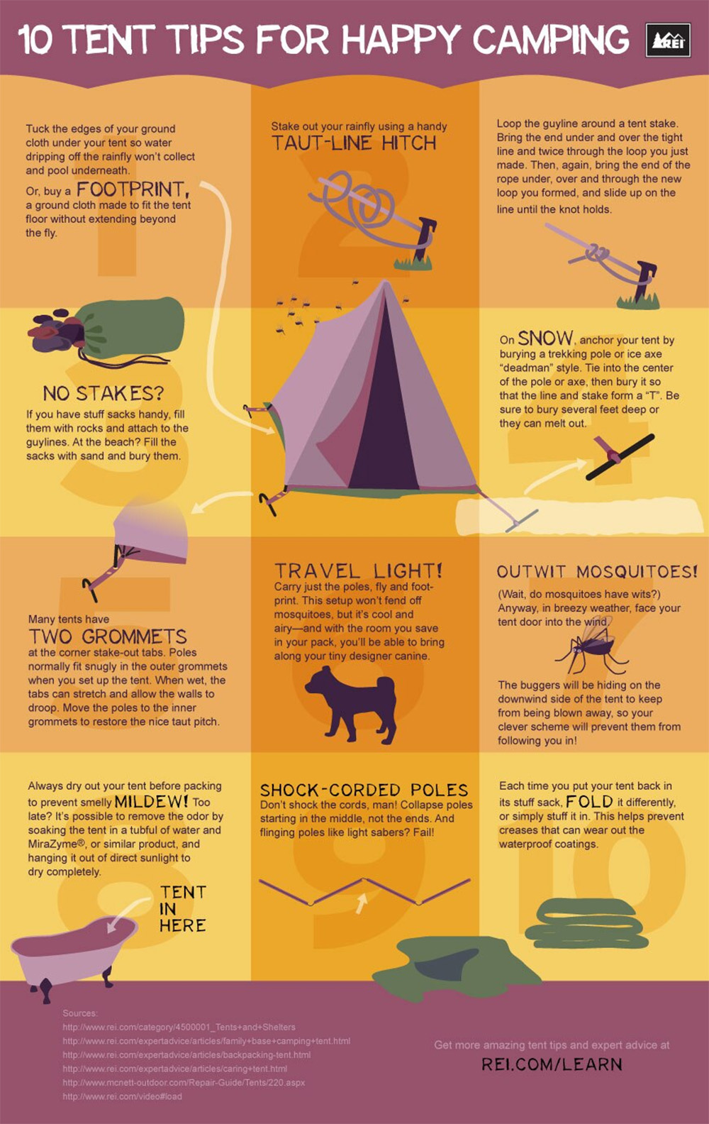 Infographic: 10 Tent Setup Tips