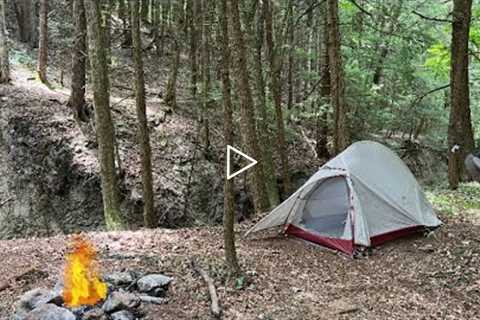 Wilderness Camping in the Mountains next to a Hidden Off-Trail Waterfall (with Special Guest)