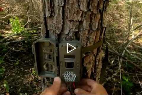 Trail camera rechargeable battery upgrade that is easy and affordable!