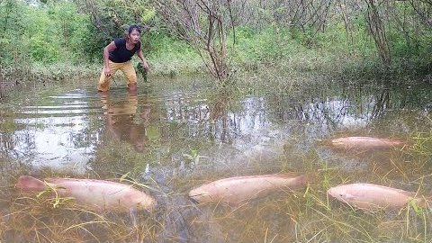 Skills catch redfish in the lake for food of survival - Redfish roasted tasty with chili for dinner