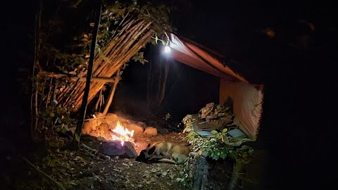 4 days solo bushcraft camp: Survival skills, fire roof, wild camping, tarp shelter, asmr PART: 2