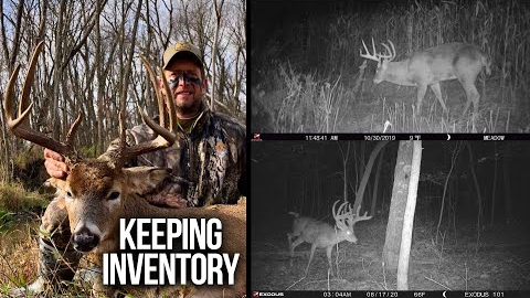 Importance of Trail Camera Photos & Having Two Jobs to Own Land!