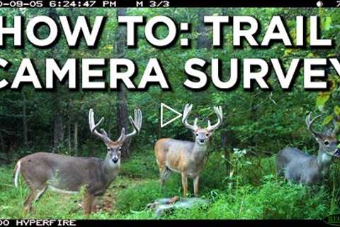 Why You SHOULD Be Conducting Trail Camera Surveys For Whitetail Deer