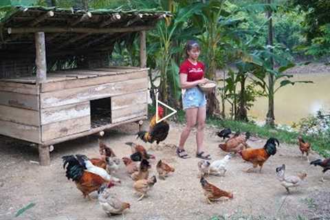 How To Build Chicken Coop, Chicken Farming - Farm Building / Free Bushcraft Ep.86