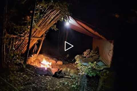 4 days solo bushcraft camp: Survival skills, fire roof, wild camping, tarp shelter, asmr PART: 2