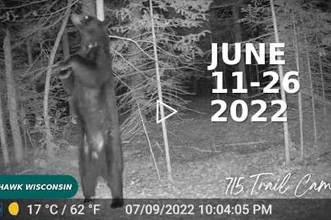 June 26th - July 16th 2022 Tomahawk Wisconsin Trail Cam Videos
