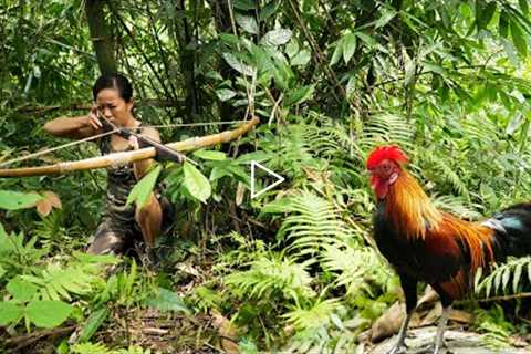 Persevering in Hiding Under the Bushes - Shooting Wild chickens/ Bushcraft & Survival Part 7