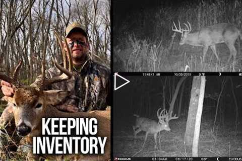 Importance of Trail Camera Photos & Having Two Jobs to Own Land!