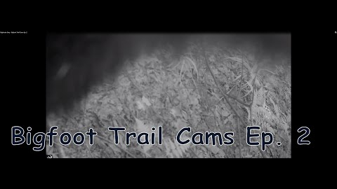 Bigfooter Gary - Bigfoot Trail Cams Ep  2