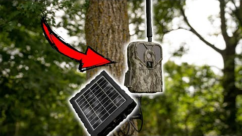 Trail Camera Mistakes That You Need To Avoid When Hunting Mature Bucks