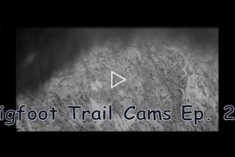 Bigfooter Gary - Bigfoot Trail Cams Ep  2