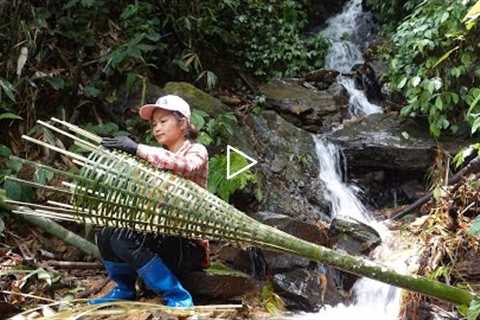 Survival Instinct, Wild Alone, Fish Trap Skills Build a Forest Shelter, Build a Life (Ep.64)