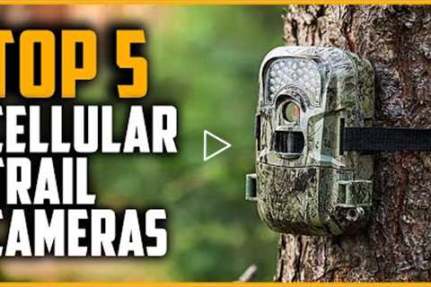 Best Cellular Trail Cameras 2022 | Top 5 Best Cellular Trail Camera Reviews