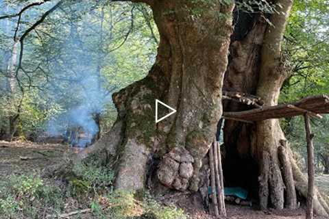 Building Complete And Warm Survival Shelter In The Trunk , Bushcraft Tree Hut & Fireplace With..