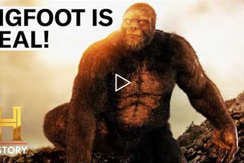 4 SHOCKING BIGFOOT SIGHTINGS | The Proof is Out There