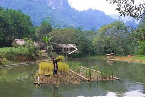 Harvesting floating rice, the result of the first test. Primitive Skills (ep187)