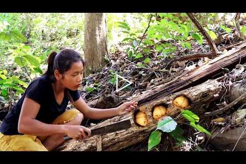 Survival Skills by  finding Foods & Cooking with Cow tongue + 5 More Cooking Videos in forest