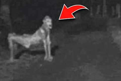 Trail Cam Footage Caught Something No One Has Seen