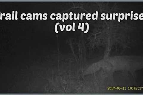 Caught on camera (trail cam uk)