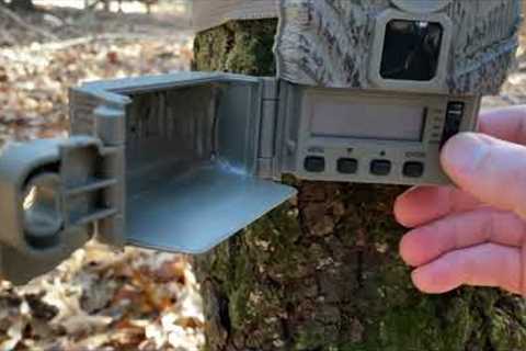 $40 TRAIL CAM REVIEW AND SETUP - Stealth Cam Browtine 16