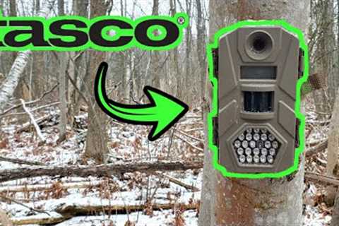 TASCO TRAIL CAMERA REVIEW!