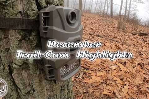 December 2022 Trail Camera Highlights