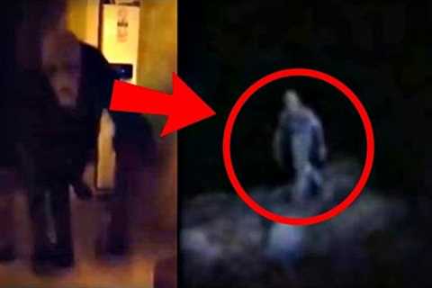 25 Scariest Creature Videos of All Time