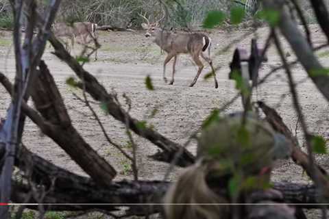 Tim & Sydnie Wells Bowhunting Texas