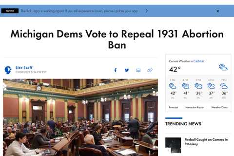 Michigan House Repeals State’s 1931 Abortion Ban