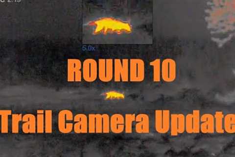 Trail camera update from round 10.