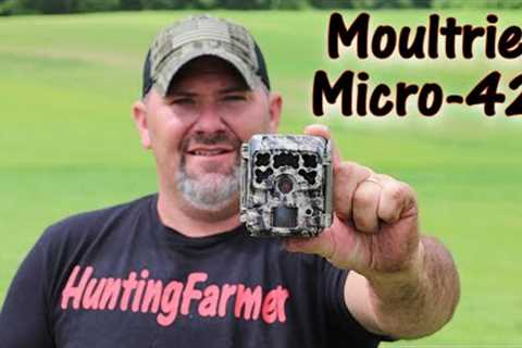 Moultrie Micro-42 world''s smallest trail camera??? Review and Field Testing w/sample photos videos