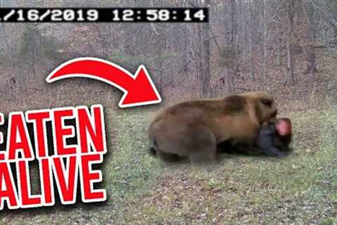 Trail Cam Captures HORRIFYING Bear Attack In Real Time