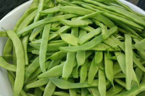 Can You Eat Green Beans Raw to Survive? Is it Safe?