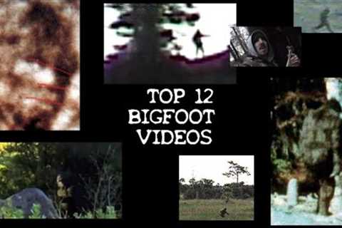 👣 BIGFOOT SASQUATCH Top 12 Most Famous, Convincing, and BEST Video Footage OF ALL TIME COMPILATION ..