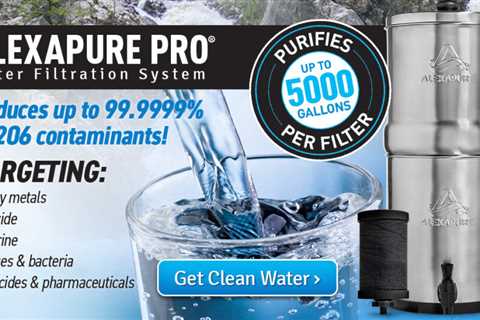 Alexapure Pro vs. Berkey: Which One Wins in Water Filtration?