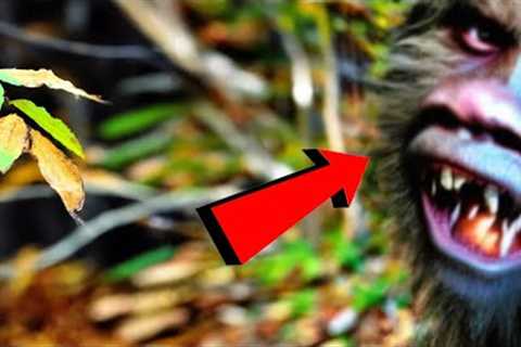 Intense Trail Cam Footage That No One Saw Coming