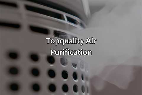 Top-Quality Air Purification