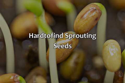 Hard-To-Find Sprouting Seeds