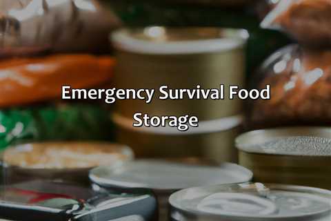 Emergency Survival Food Storage
