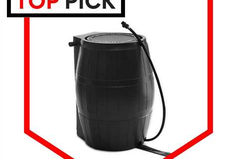 Best Rain Barrel for Prepping and Emergency Water Storage