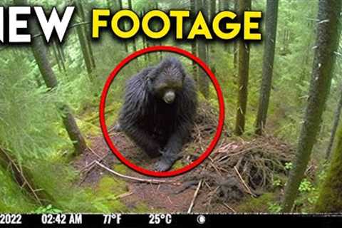 UNSEEN Trail Cam Discoveries That Will Leave You Breathless