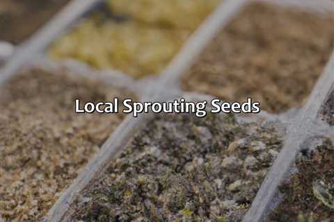 Local Sprouting Seeds