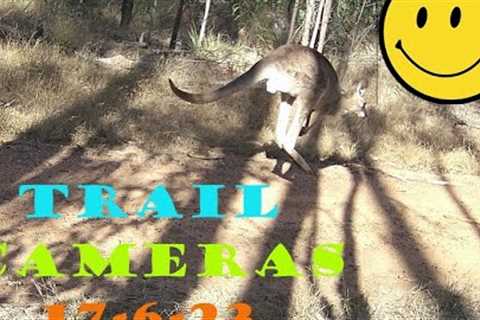 Trail Cameras for week 1762023 #offgridhomestead #farm #wildlife #wildlifephotography #offgrid